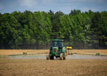 APIA sprijină crescătorii de animale cu circa 1,3 milioane de lei, pentru serviciile prestate în iulie