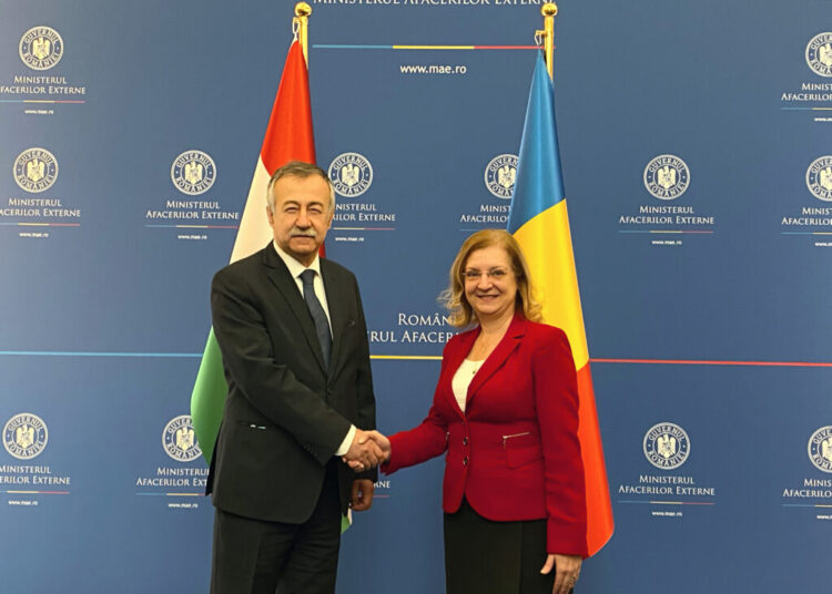 Secretarul de stat pentru afaceri europene Daniela Gîtman s-a întâlnit cu omologol ungar Ferenc Kalmar la București