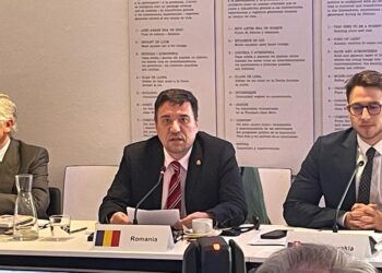 Secretarul de stat Traian Hristea a participat la Forumul Regional al Uniunii pentru Mediterana și Reuniunea Ministerială UE-Vecinătatea Sudică