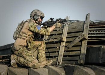 Gurvernul a aprobat noi programe de înzestrare pentru Armata României