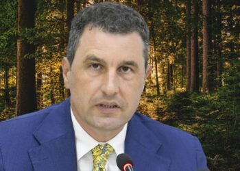 Campania națională de împădurire a Ministerului Mediului a fost lansată. 56.000 de hectare vor fi împădurite până în 2026