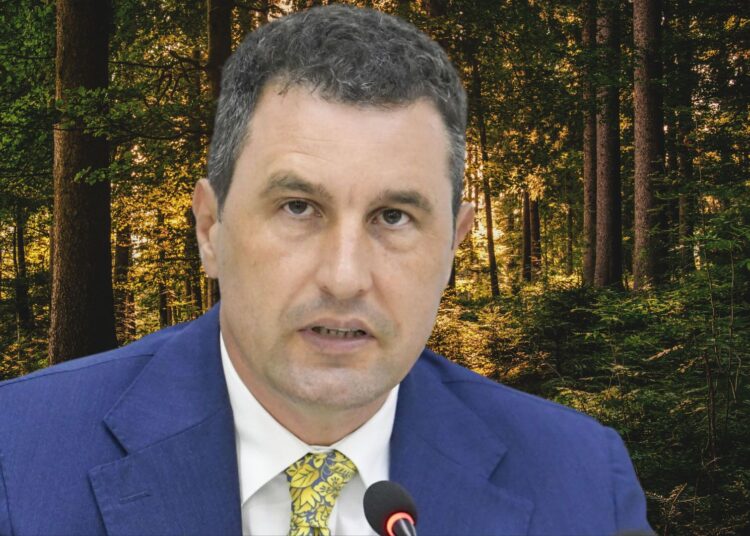 Campania națională de împădurire a Ministerului Mediului a fost lansată. 56.000 de hectare vor fi împădurite până în 2026