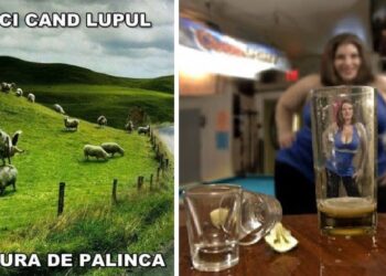 Beneficiile unui pahar de ţuică sau de pălincă. Ce au descoperit biochimiştii americani în whisky-ul românesc?