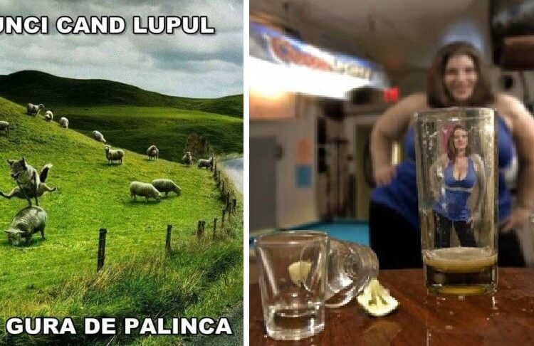 Beneficiile unui pahar de ţuică sau de pălincă. Ce au descoperit biochimiştii americani în whisky-ul românesc?