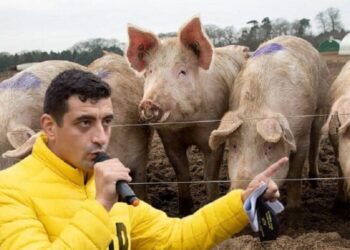 George Simion explică de ce ”Legea porcului” distruge tradițiile românești
