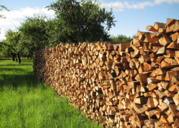 5 cele mai convingătoare motive pentru care să utilizezi lemne de foc