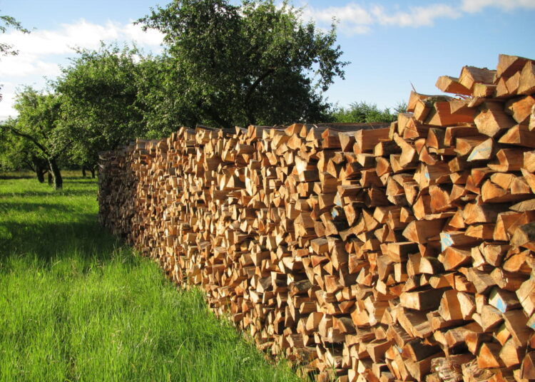 5 cele mai convingătoare motive pentru care să utilizezi lemne de foc