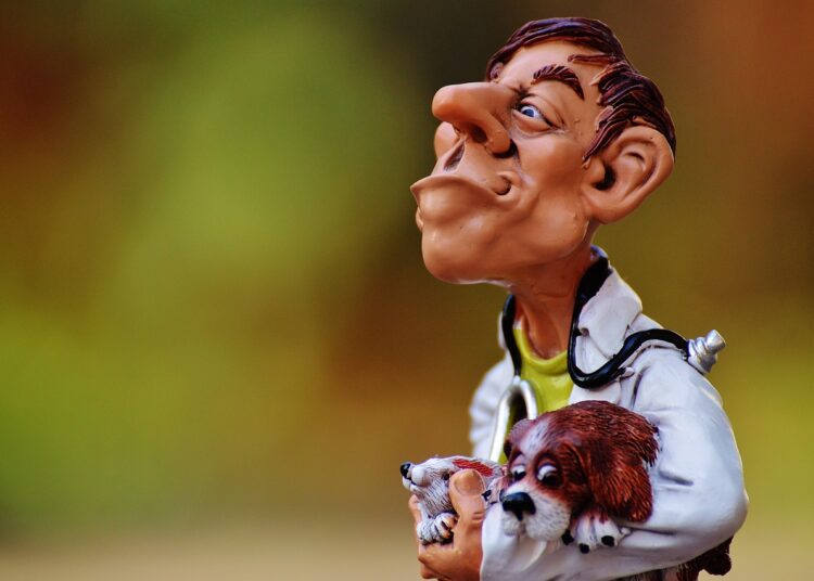 Alegerea unei clinici veterinare: Cum să asiguri ce este mai bun pentru animalul tău