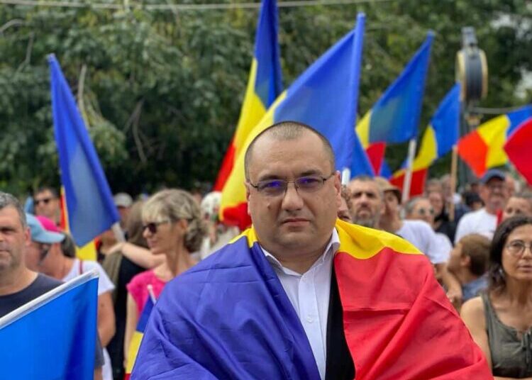 Cristian Terheș: Se taie enorm de multă pădure în mod ilegal în România