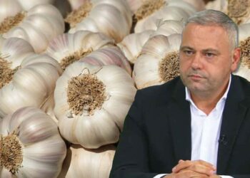 Ministrul Agriculturii, Florin Barbu: „Încep plățile pentru programul Usturoiul”