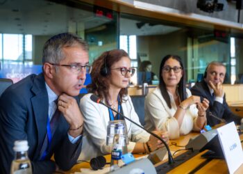 Europarlamentarul Dragoș Benea a fost desemnat președintele Comisiei pentru Dezvoltare Regională din Parlamentul European