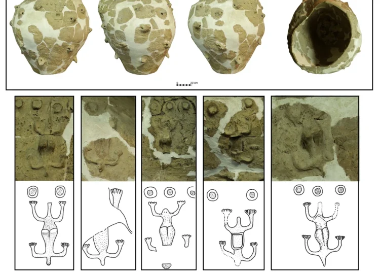S-a descoperit un vas unicat pentru Cultura Cucuteni