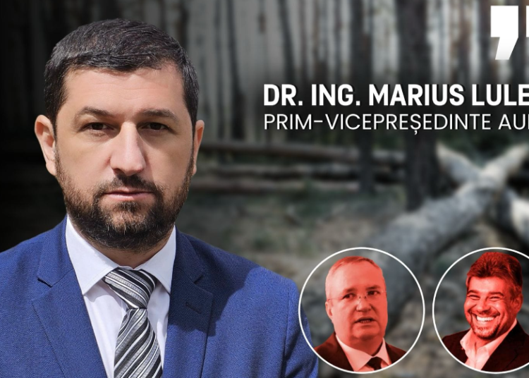 Marius Lulea: Aproape jumătate din lemnul tăiat anual în România este tăiat ilegal